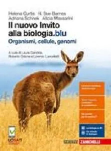 Nuovo invito alla - nuovo,