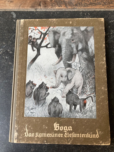 Boga bambino elefante - il,