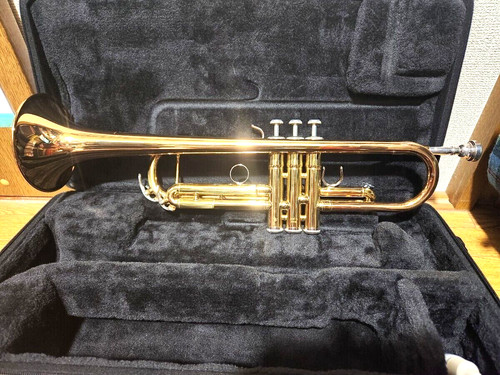Custodia rigida tromba - , yamaha