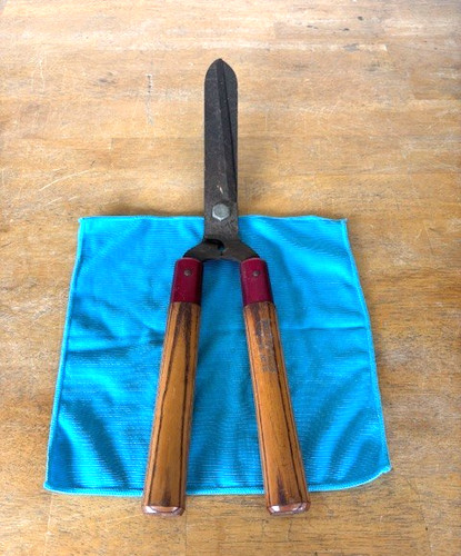 Tagliasiepi tagliasiepi