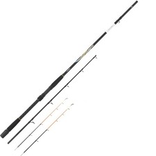 Canna Tubertini Talaxa 8300