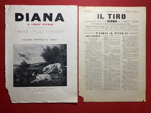 Diana caccia rivista 7 - n., del
