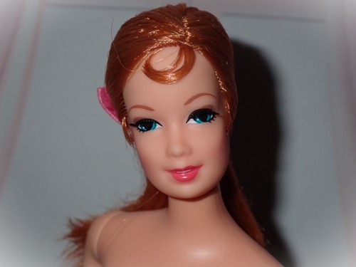 Barbie 2018 mod friends - barbie, tnt