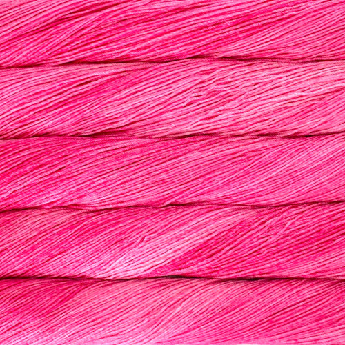 Fiore cactus 100gr - cactus,