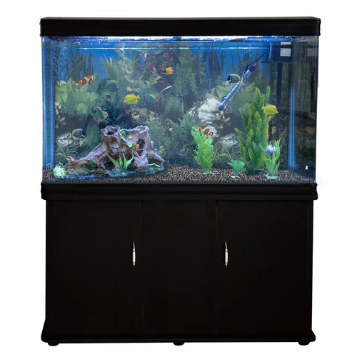 Acquario 300 litri con - litri,