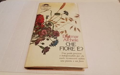 Che fiore d aichele - e'?,, d.