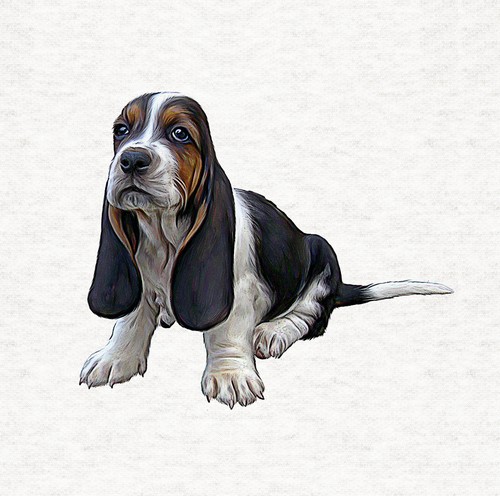 Cane basset hound cucciolo - hound, cucciolo-