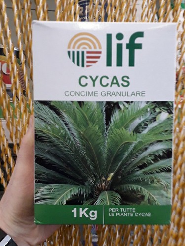 Concime granulare cycas lif - concime, 1