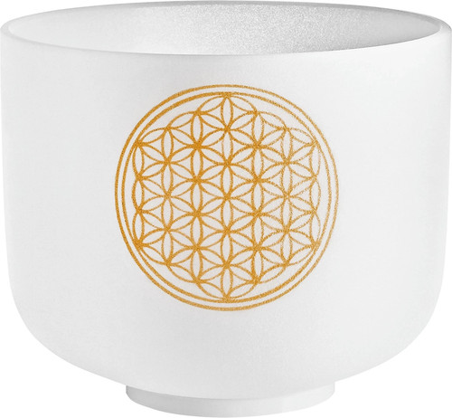 Meinl sonic energy - meinl,