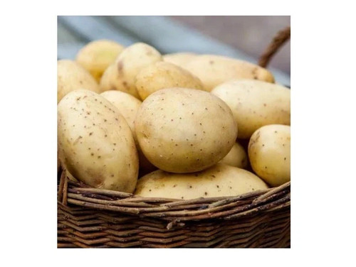Semi patate velina - semi, di