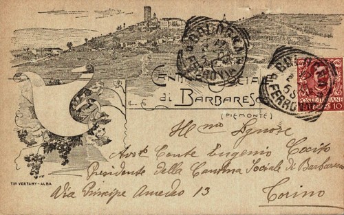 Cuneo barbaresco cantina - cuneo,