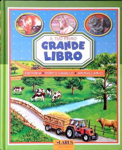 Tuo primo grande libro - il,
