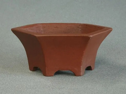 Vaso per bonsai giapponese
