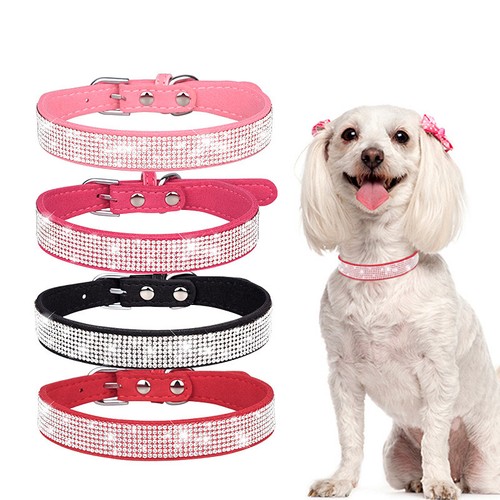 Bling collari strass cane - collari,