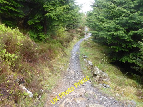 Photo 6x4 rocky single - 6x4,