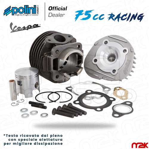 Gruppo termico racing polini - termico,