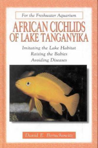 African cichlids lake - african,