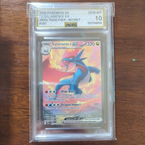 Pokemon viaggio insieme - pokemon,