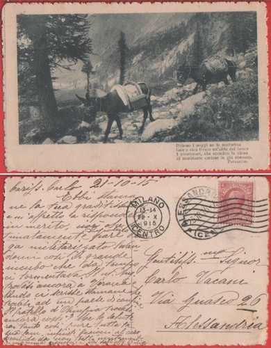 Cartolina muli con versi - cartolina,