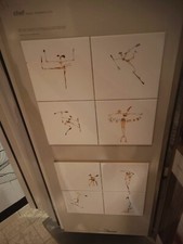 BARDELLI CHEF composizione formato cm.20x20 I°scelta