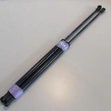 Molla a gas bagagliaio 46827091 per Fiat Panda 169 2003-2013 usata (7625)