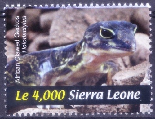 Sierra leone 2011 - sierra,