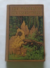 THE WONDERS OF THE INSECT