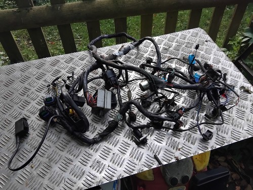 Cablaggio cablaggio elettrico