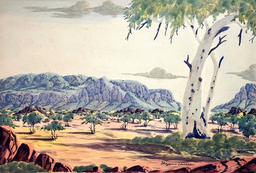 Benjamin landara australiano - landara, (australiano