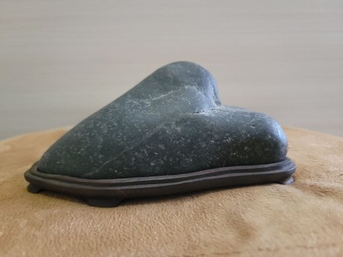 Pietra giapponese suiseki - pietra,
