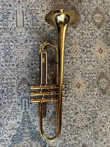 Trombe taylor voca - voca, modello
