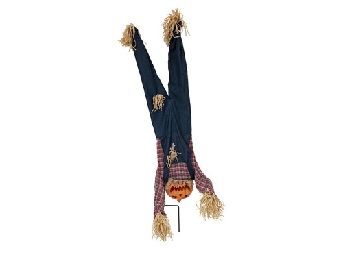 Figura animata uomo zucca - animata,