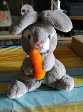 Peluche di coniglio con carota