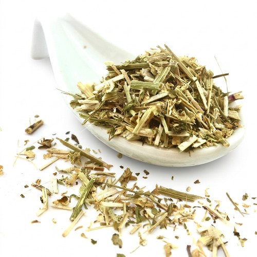 Erba madre tagliata - madre, 100g