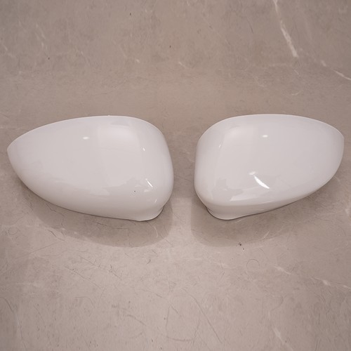 Coppia calotte specchietti