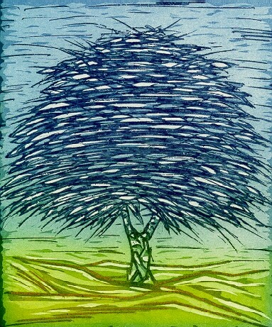 Marengo gli alberi della - marengo,,