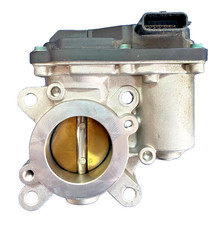 CORPO A FARFALLA GRUPPO