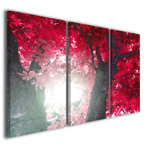 Quadro moderno alberi stampa