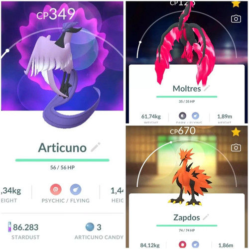 Pokémon uccellini - -✨,