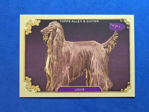 2024 louis topps allen - louis,
