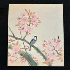 QUADRI ACQUERELLO VINTAGE