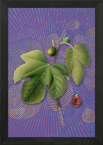 Quadro stampa tela - quadro,