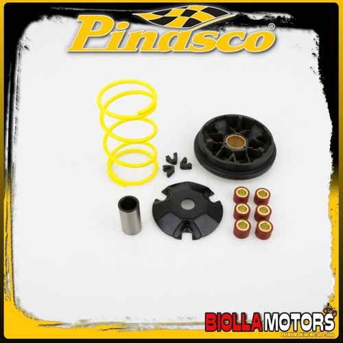 10260255 variatore pinasco - 10260255,