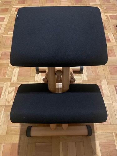 Sedia ergonomica varier - sedia,