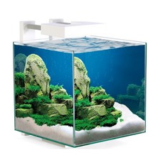 Ciano nexus pure - pure, cube