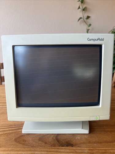 Monitor display monocromatico