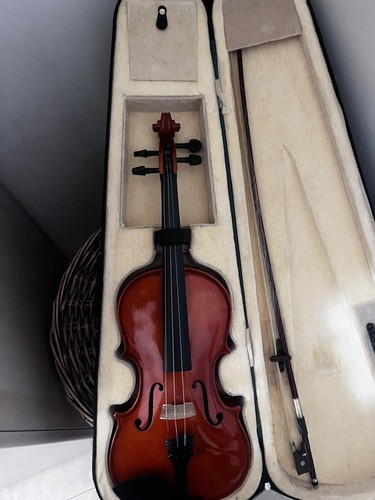 Violino - ,