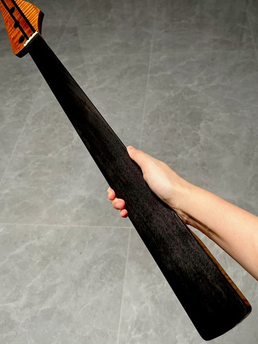 Aaaaa5pezzi tastiera fretless - aaaaa5pezzi,