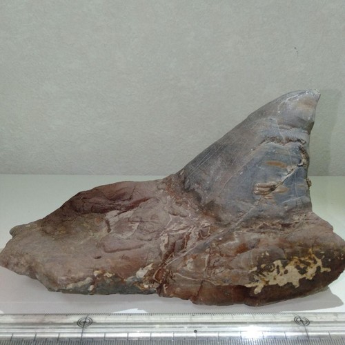 Suiseki pietra giapponese - suiseki,