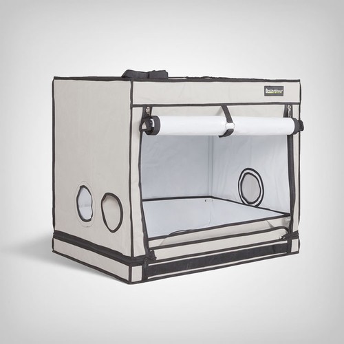 Homebox ambient r80s - homebox,